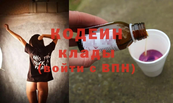 прущий лед Вяземский