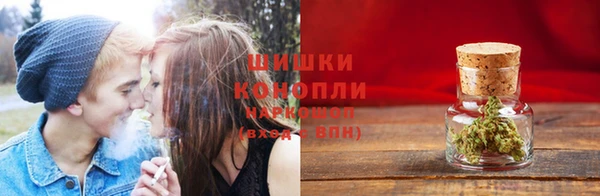 прущий лед Вяземский
