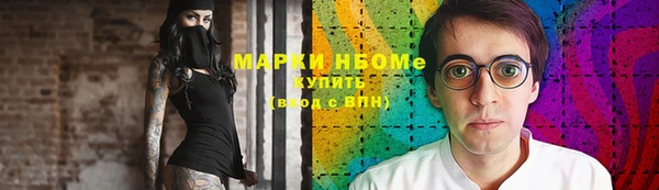 прущий лед Вяземский