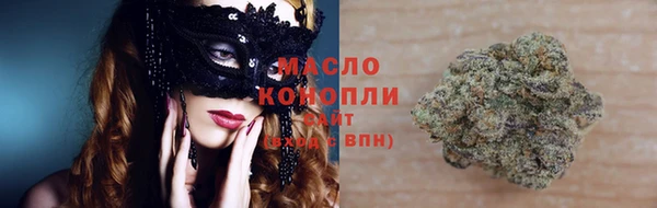 гидра Вязники