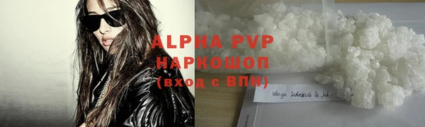 прущий лед Вяземский