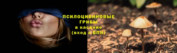 гидра Вязники