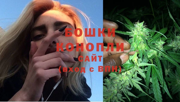 гидра Вязники