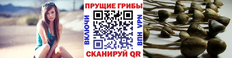 Псилоцибиновые грибы ЛСД  закладки  Ангарск 